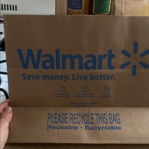 Walmart Reusable Brown Bag